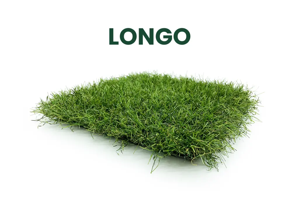 Notre gazon Longo